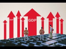 宠物举牌小项目，新鲜有趣的挣钱路子！